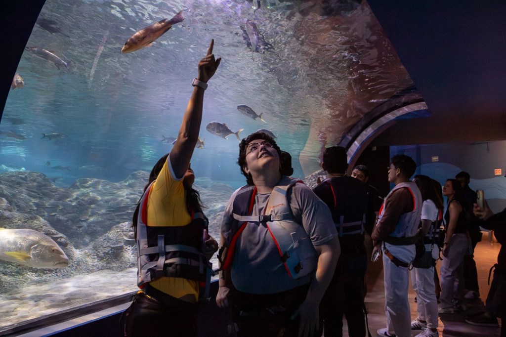 Última Noche de Museos de 2024, el sábado 28 de&nbsp;diciembre