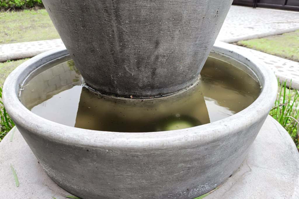 Mantiene Puebla presencia de dengue en 80 municipios: Salud 