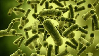 ¡Secretaría de Salud confirma brote de bacteria klebsiella oxytoca en Edomex! Investiga muerte de 13&nbsp;menores