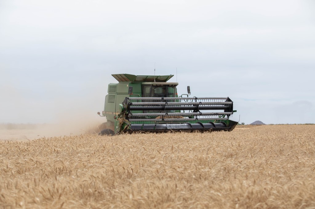 Grupo Bimbo supera sus metas de agricultura regenerativa: alcanza récord de 170,000&nbsp;hectáreas
