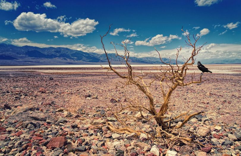 Impulsan iniciativa para crear el Centro Nacional de Gestión de&nbsp;Sequías