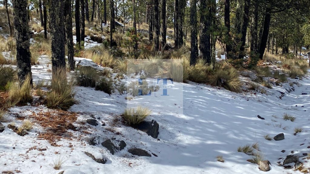 Se registra la primera nevada en&nbsp;Perote
