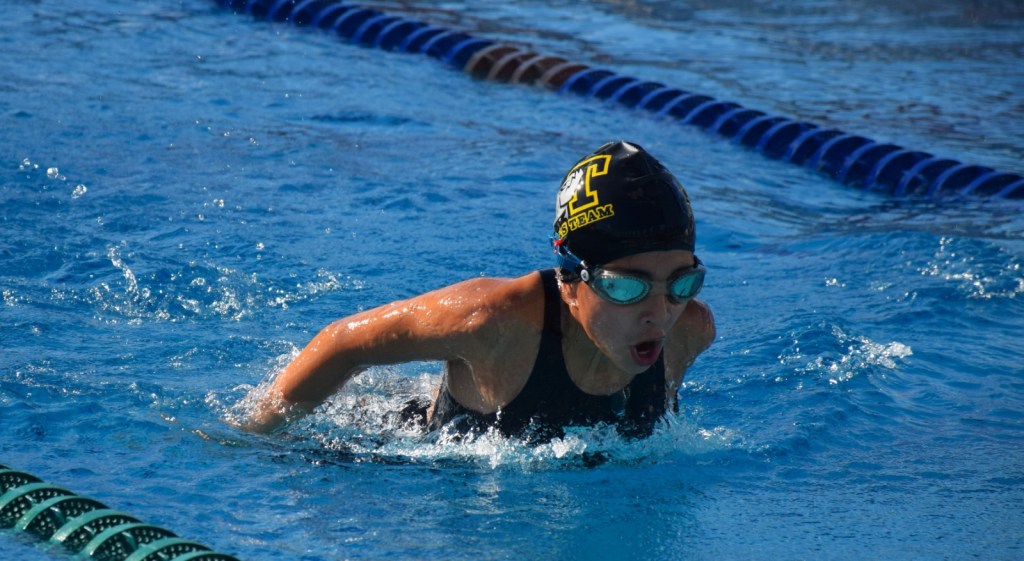 Asociación de Natación de Veracruz anuncia Campeonato Estatal de Invierno&nbsp;2024