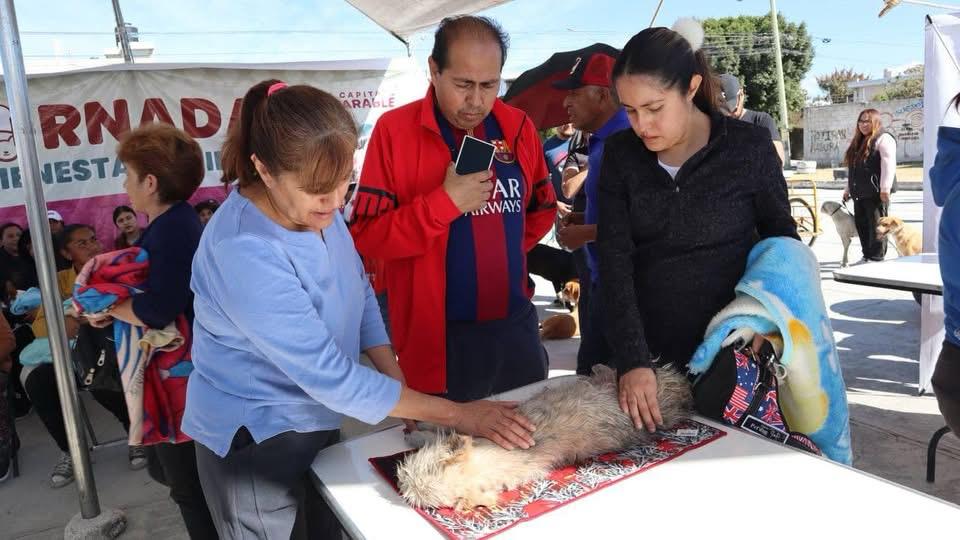 Gobierno de la Ciudad lleva Jornada de Bienestar Animal a Colonia Minerales del&nbsp;Sur
