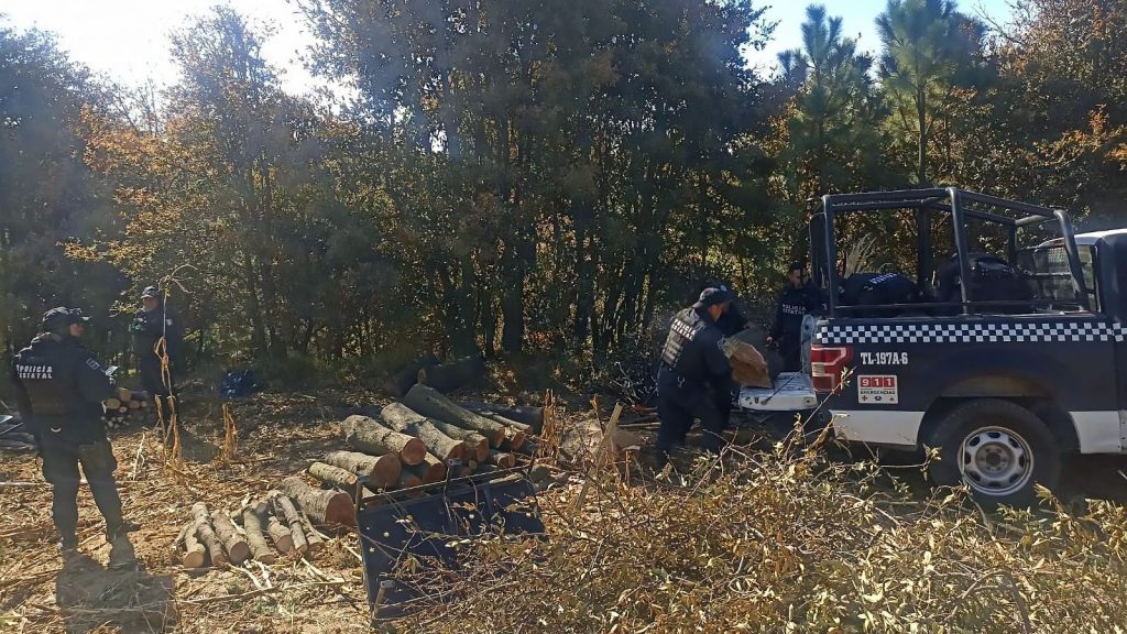 Primer decomiso de la Guardia y Policía Forestal en coordinación con&nbsp;Tlaxcala
