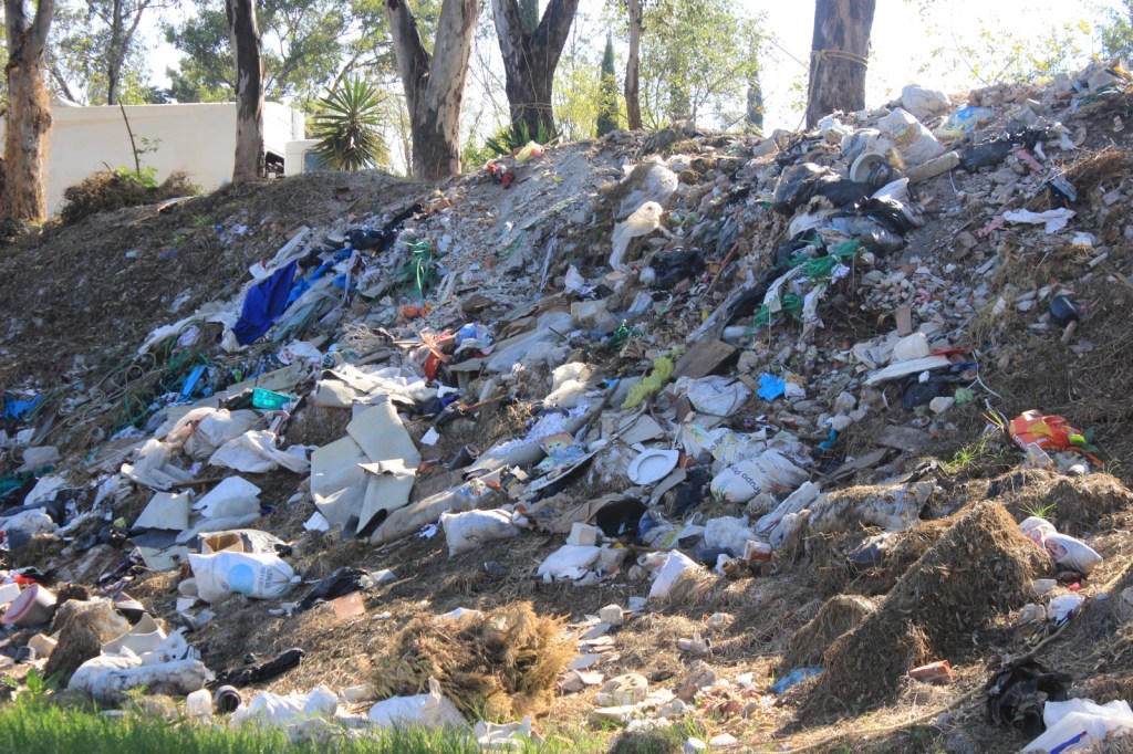 Retiró Medio Ambiente dos toneladas de residuos durante jornada de&nbsp;limpieza