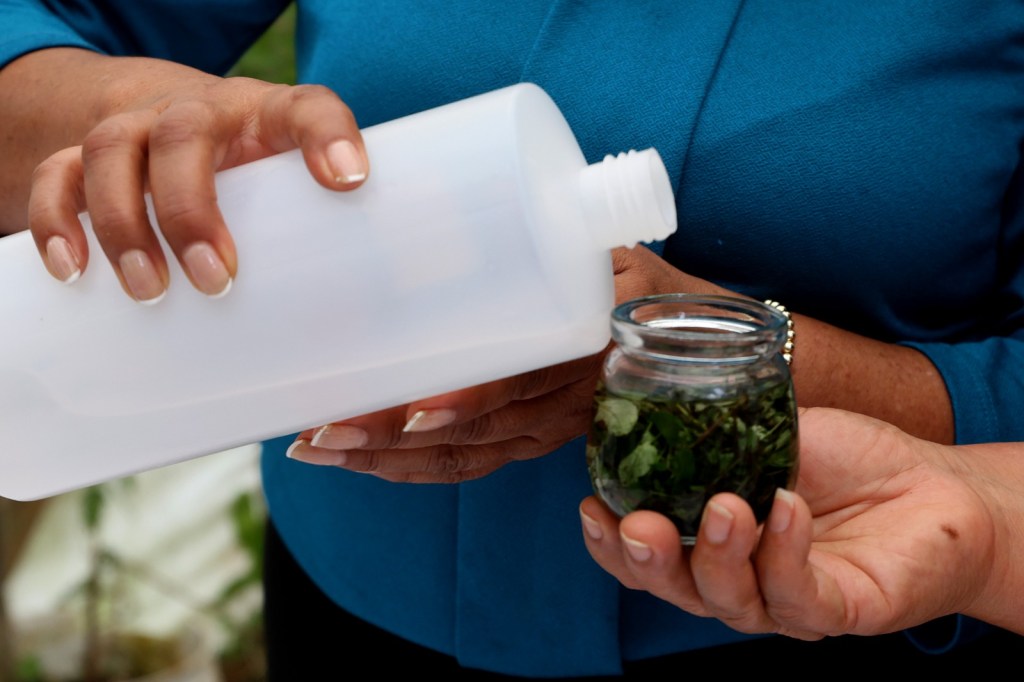 Salud promueve el uso de medicina herbolaria para enfermedades&nbsp;respiratorias