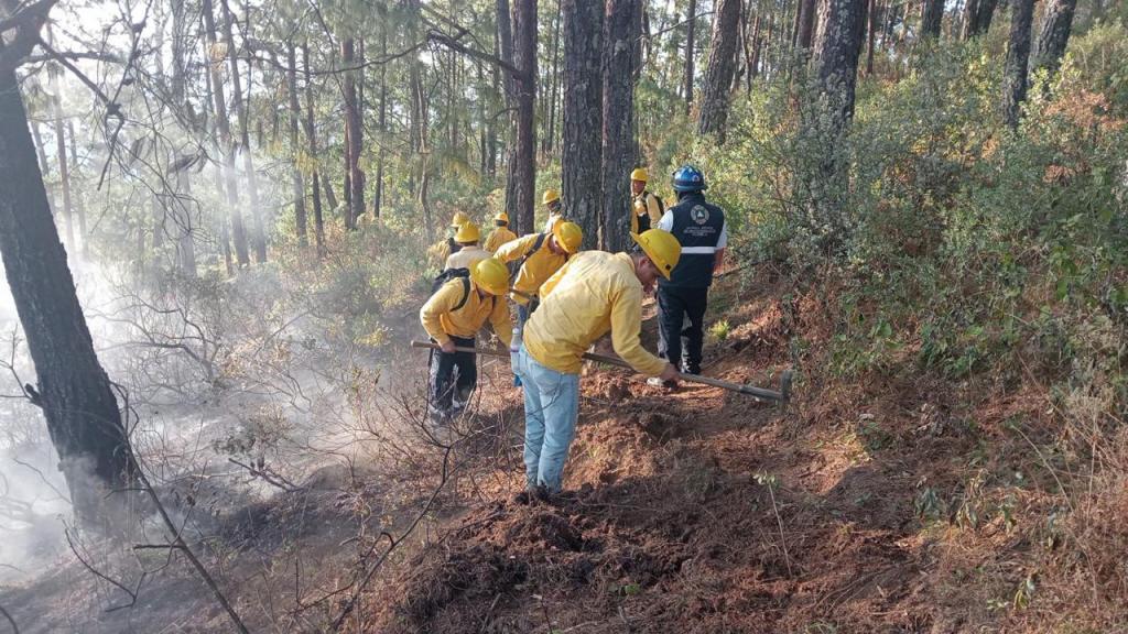 Gobierno de Puebla refuerza combate de incendios&nbsp;forestales
