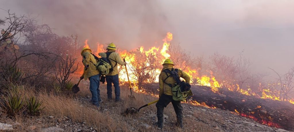 En sinergia, trabaja PC Estatal para sofocar incendio forestal en Tehuacán