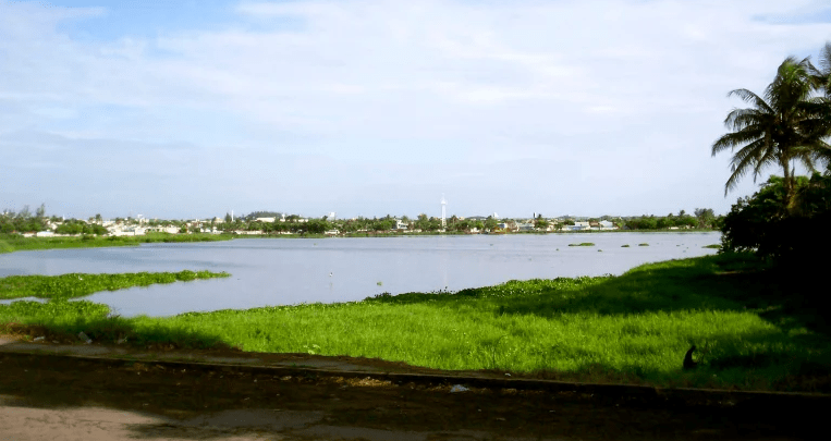 Decreto para proteger archipiélago de lagunas interdunarias de Veracruz-La Antigua: Rocío&nbsp;Nahle