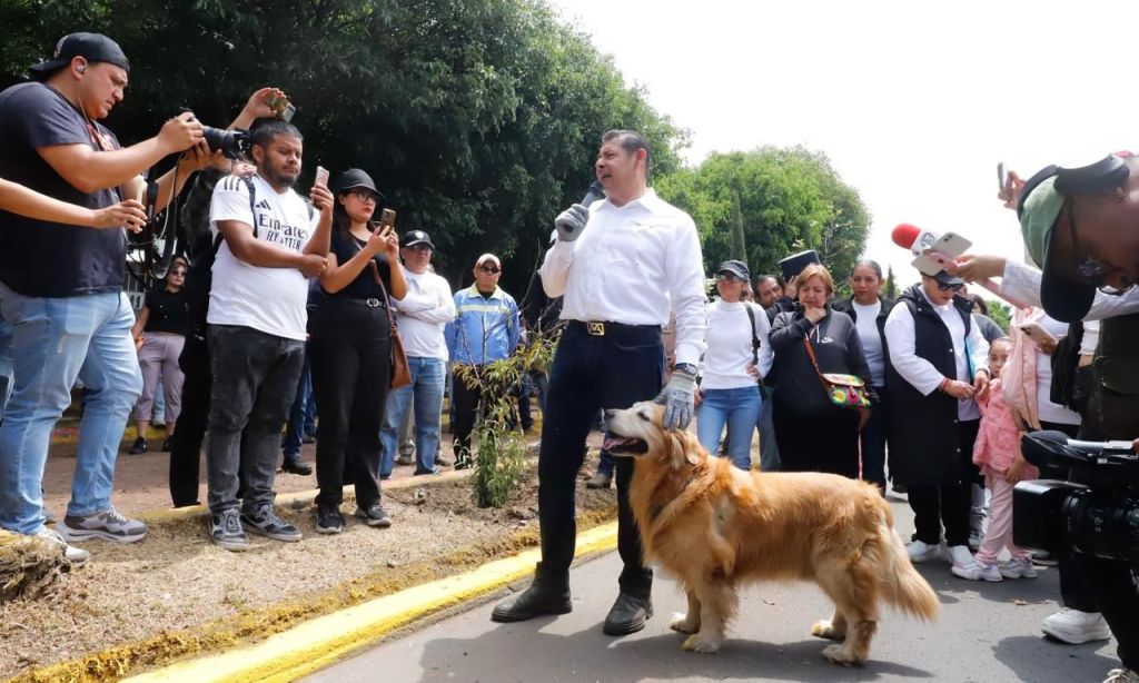 Gobierno federal y estatal impulsarán campaña de protección de animales
