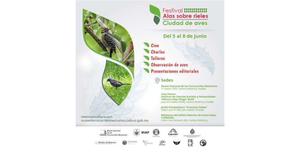 El Festival Alas Sobre Rieles invita a descubrir una ciudad de&nbsp;aves