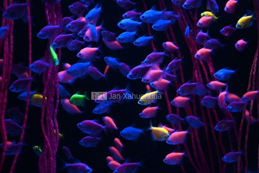 Llega la Noche de Museos de junio con descuentos y&nbsp;promociones