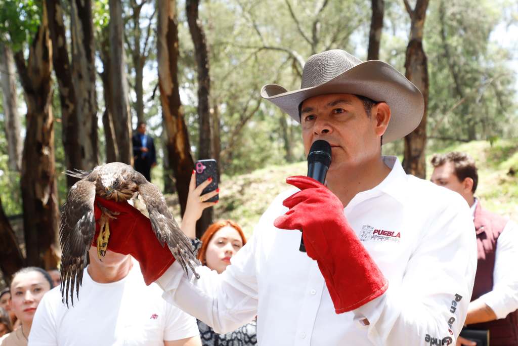 “Sueño con ver a Puebla como una zona verde y sin corrupción”: Alejandro&nbsp;Armenta