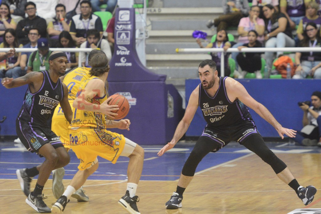 Halcones de Xalapa aporta cuatro jugadores a Selección&nbsp;Nacional