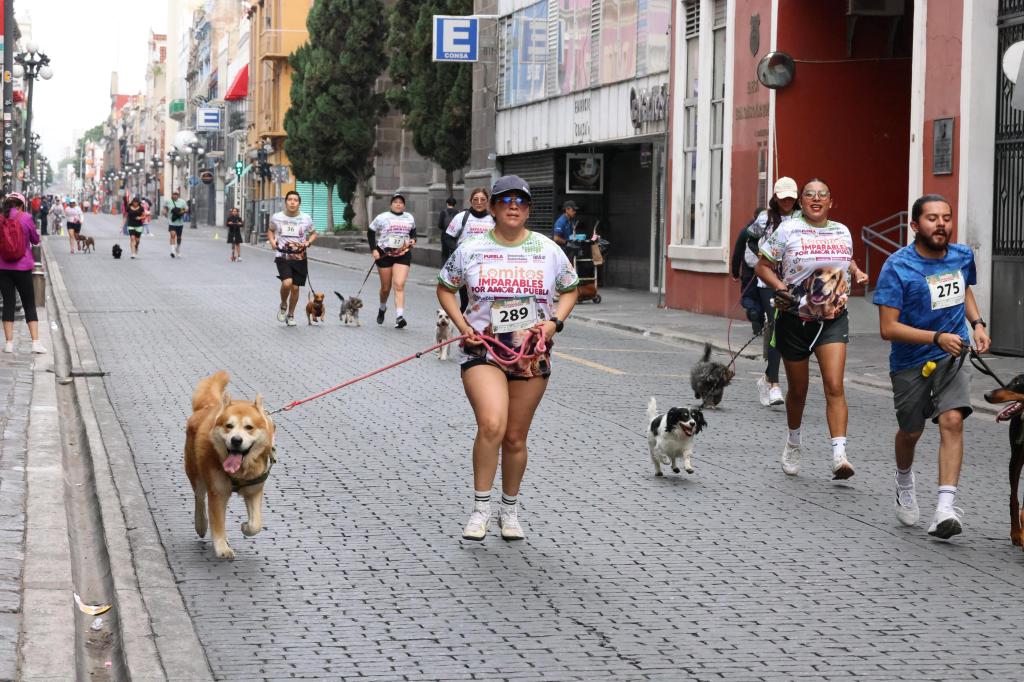 Por amor y seguridad: Puebla corre con sus lomitos contra el maltrato&nbsp;animal