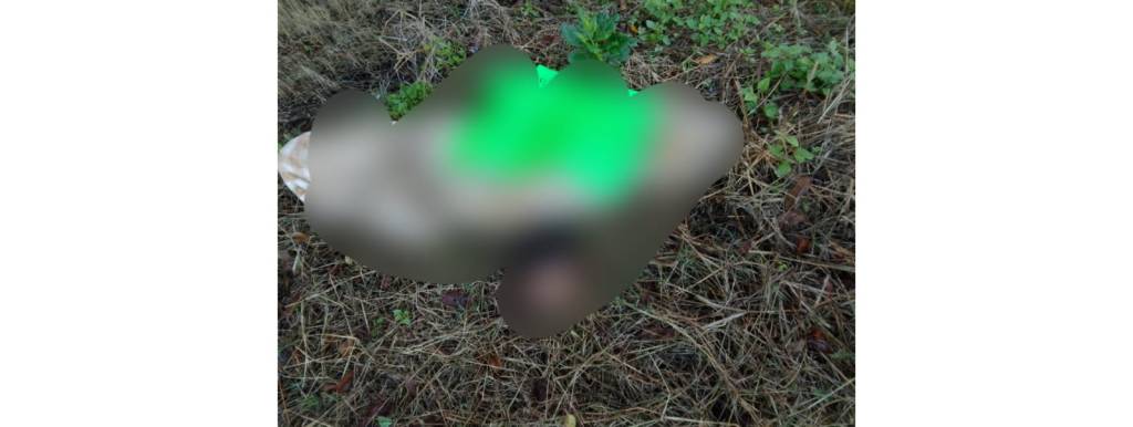 En Yanga localizan cabeza humana junto a&nbsp;narcomensaje