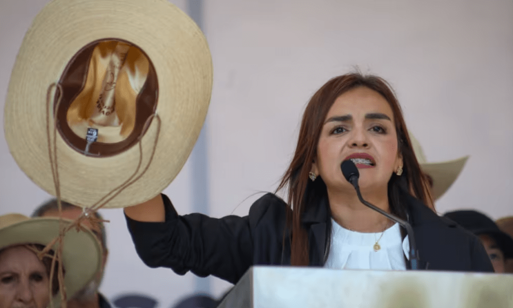 Director del IMPI garantiza entrega de marcas a Grecia Quiroz; dice que viuda de Manzo tiene derecho a usar su&nbsp;nombre