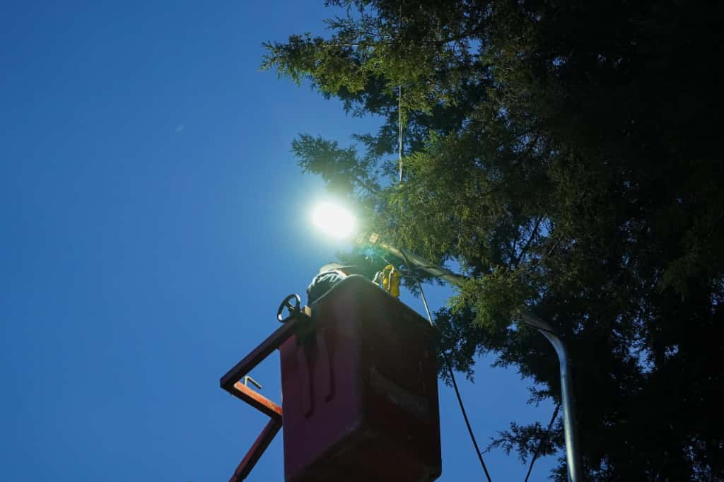 Inaugura Gobierno de Pepe Chedraui modernización de alumbrado en colonias del sur de la&nbsp;ciudad