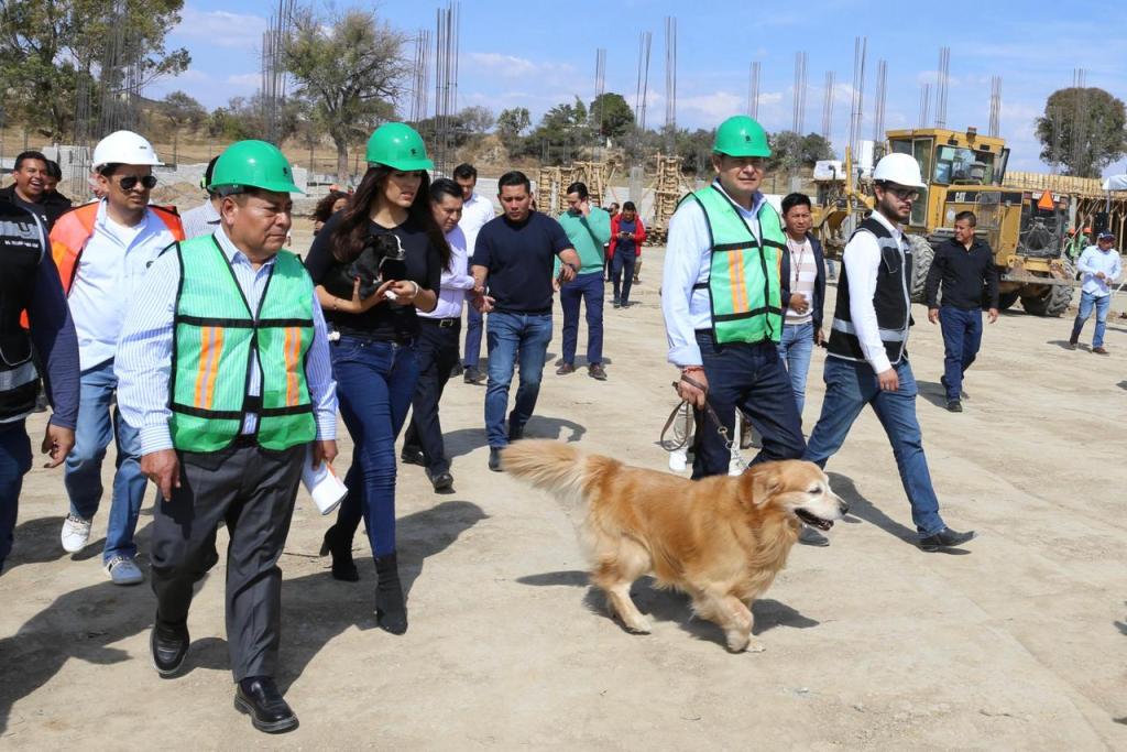 Seres sintientes requieren cuidado, no compras impulsivas: Gobierno de&nbsp;Puebla